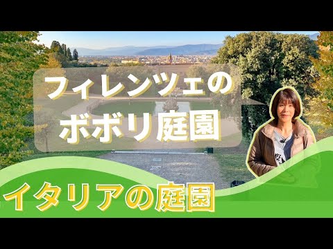 園芸 Lysimachus numularis、Herbe aux écus