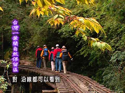 繽紛台灣再發現-第005集 阿里山 台灣一葉蘭自然保留區