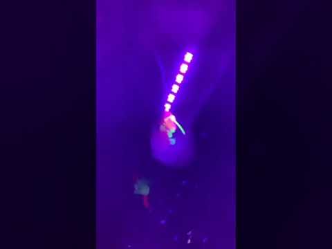 The Nava brothers | in da house @after Party OHANA