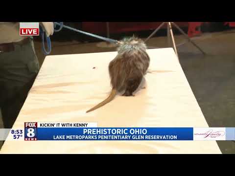 FOX 8 NEWS Cleveland Kenny Goes Back In Time To Prehistoric Ohio