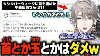 【弱点】コメ欄のガキどもに、大事なことを教える甲斐田晴(31)【にじさんじ/甲斐田晴/切り抜き】