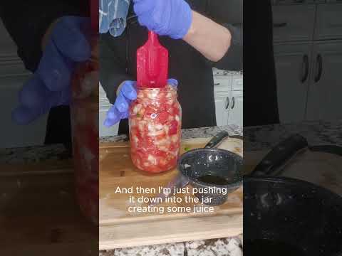 Fermented Salsa July 17