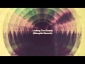 Fink - Looking Too Closely (Memphix Sunset ...