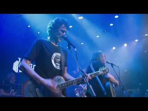 Gyvenimo arklys - POLIARIZUOTI STIKLAI 30 metų - TAMSTA 2016