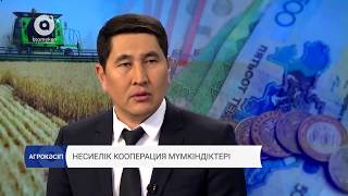 Несиелік кооперация мүмкіндіктері