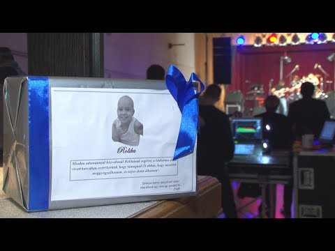 Az összefogás erejével támogatták Rolikát