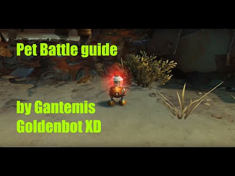 How to defeat Goldenbot XD bet battle