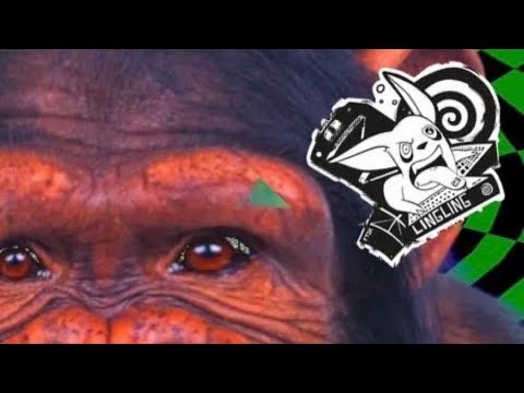 Pogo Frequency - Hit Me (Ling Ling Remix)