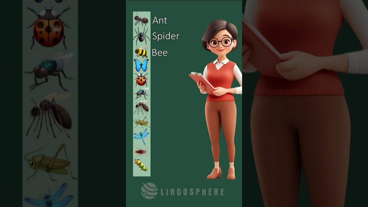 Insects and Bugs - Vocabulary in English - LingoSphere #english #esl  #learnenglish