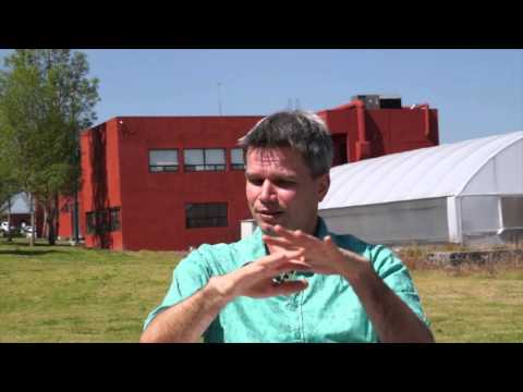 Resiliencia de Bosques Tropicales Secundarios en América Latina