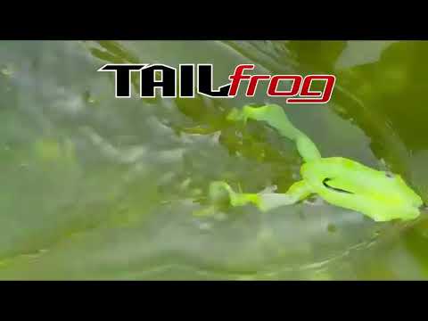 Vídeo Isca Monster 3X Tail Frog - 4UN - 9,5cm