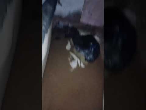 El drama de una familia en Malargüe tras las tormentas del fin de semana