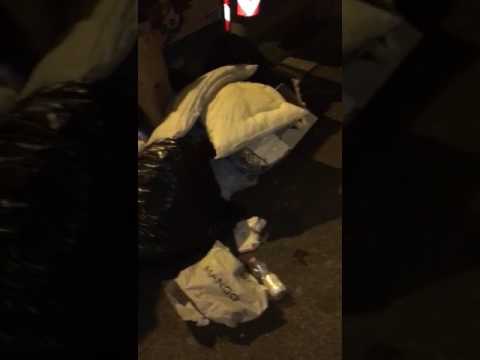 Rifiuti abbandonati in viale Redi a Firenze 2017 pt 2