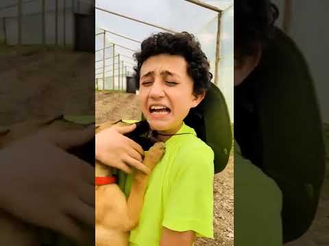 AYY ME CHUPO 😭#shorts | La Granja del Borrego