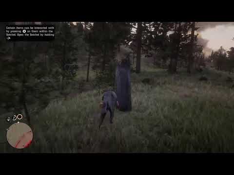 Red dead redemption 2 Story Mode playing on PS4 live Gameplay Walkthrough Part 5
