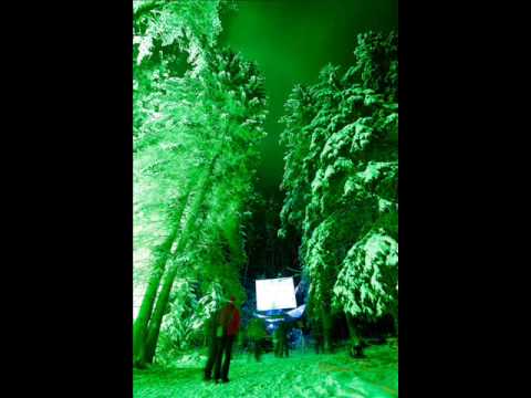 phonic request & akhoa - bee people abduction