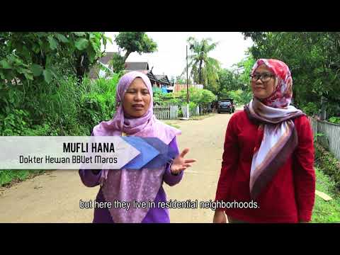Triangulated surveillance: Unveils the emerging infectious diseases in Indonesia