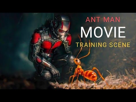 ANT MAN TRAINING SCENE |ANT MAN|