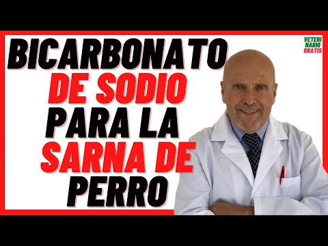 ❤️ BAKING SODIA FOR DOG MANGE ❤️ Best Home Remedy for Scabies in Canines