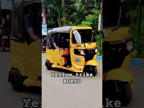 #bokyo #tuktuk #trike #shortvideo #shortsfeed #shorts
