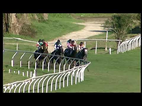 Napoli Galoppo 16/02/2021 - 5ª corsa