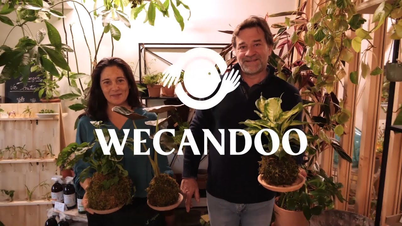 Réalisez votre kokedama - Video