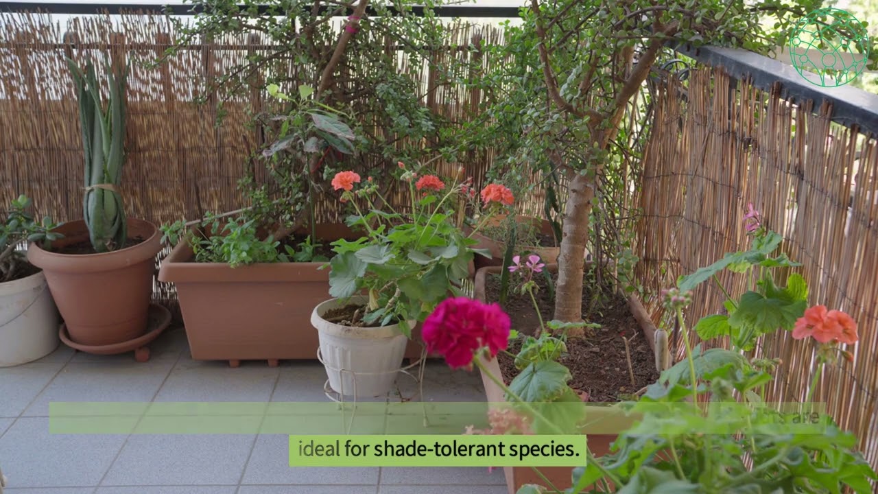 Evaluating Your Space Understanding Your Balcony or Terrace Environment