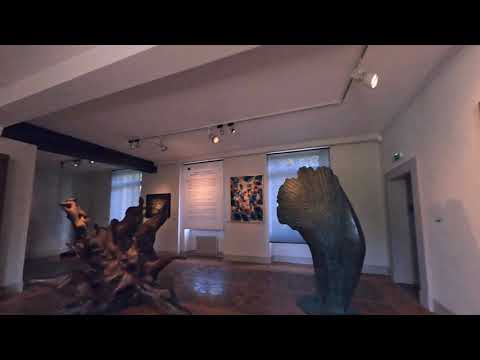 Visite a virtude do Museu de Arte e História!