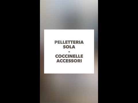 COLLEZIONE AI20 ACCESSORI COCCINELLE - PELLETTERIA SOLA