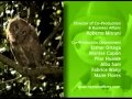 Tork The Sorcerer S Apprentice Cut1 VP8