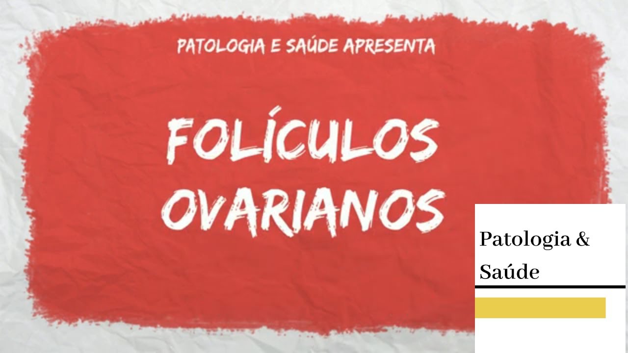 Histologia do Sistema Reprodutor Feminino: Folículos Ovarianos e Ovulação