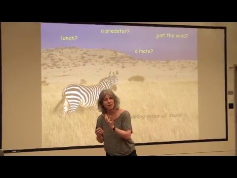 Nina Kraus - Music and Language: A Brain Partnership
