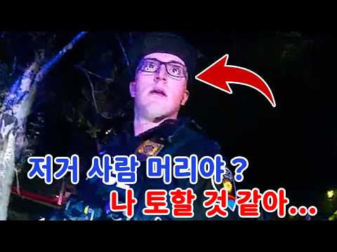 심야에 접수된 신고로 출동한 경찰, 공원에서 발견된 사람 머리… https://img.youtube.com/vi/sI-Vt785yI4/hqdefault.jpg 심야에 접수된 신고로 출동한 경찰, 공원에서 발견된 사람 머리…