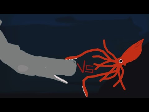 DCBA: Sperm Whale VS Colossal Squid