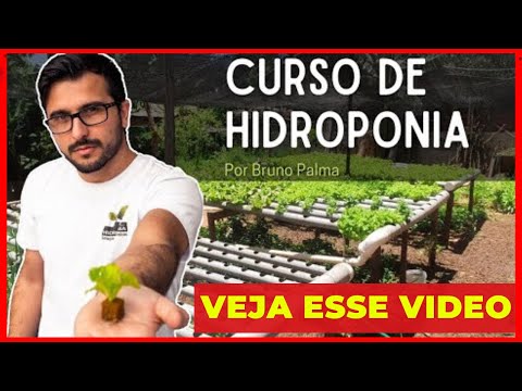 🔴 Curso de Hidroponia Bruno Palma - Curso de Hidroponia - Curso de Hidroponia Bruno Palma Funciona