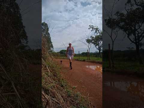 Caminhada sertaneja Comunidade Santa Rita município Vianópolis Goiás Brasil