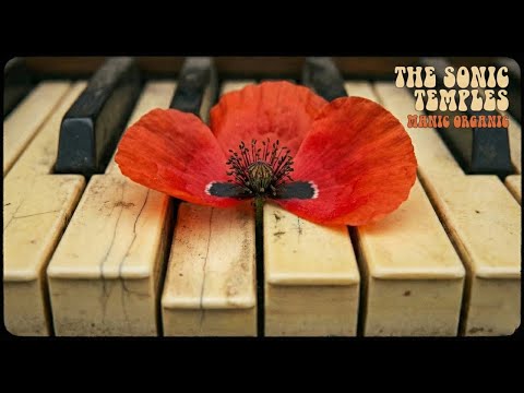 SONIC TEMPLES - Manic Organic (Full Album) | Psychedelic Raga Rock & Hammond Organ Fusion 60s Radio