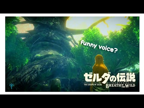 The Master Sword Memory But The Great Deku Tree Has A High Pitched Voice