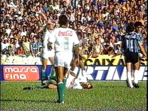 Grêmio 2 x 0 Palmeiras-Brasileiro 1990(Jogo Completo)