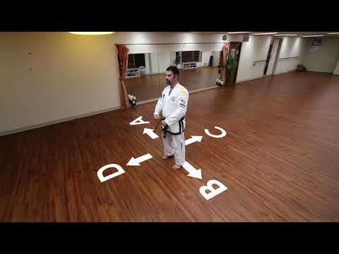 Valley View TKD Online Lesson - Chon-Ji