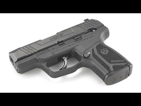 Ruger Max-9 Size