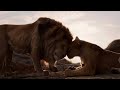 Lion King 2019 Circle Of Life Danish Subs Trans