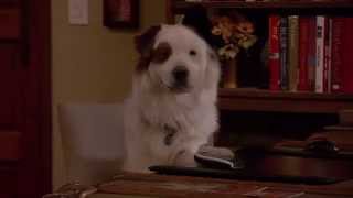 Mike Vaughn as DJ Big Dog in Dog With a Blog video