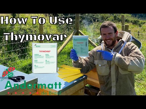 , title : 'How to use Thymovar To Treat Bees For Varroa Mites'