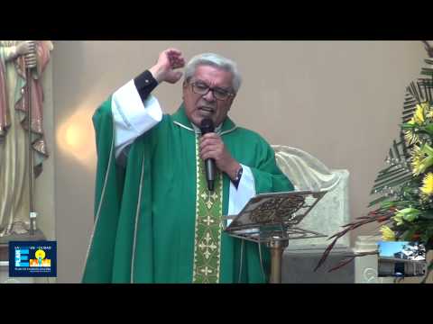 Homilía 28 de junio del 2015   Jesús y la hija de Jairo