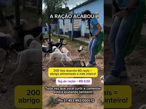 #amoanimais #cachorro #causaanimal #sergipe #aquidaba #petlovers