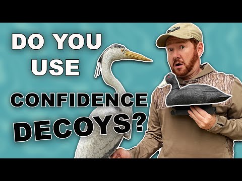 , title : 'Confidence Decoys for duck hunting | Coots and Herons | Myth or Truth?'