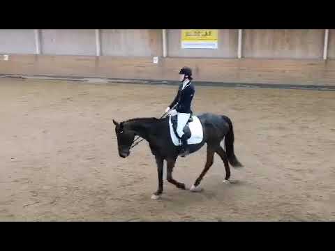 LB:2 vinst på 71.333%