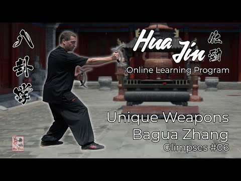 Unique Bagua Weapons - Mandarin Duck / Deer Horn Blades - Hua Jin Online Learning Program