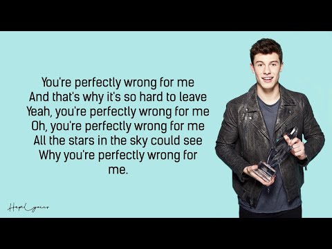 Shawn Mendes - Perfectly Wrong (Lyrics) 🎵